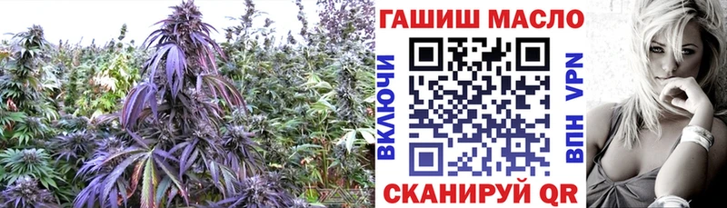 Дистиллят ТГК Wax  Краснообск 