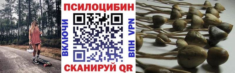 Псилоцибиновые грибы MAGIC MUSHROOMS  Краснообск 