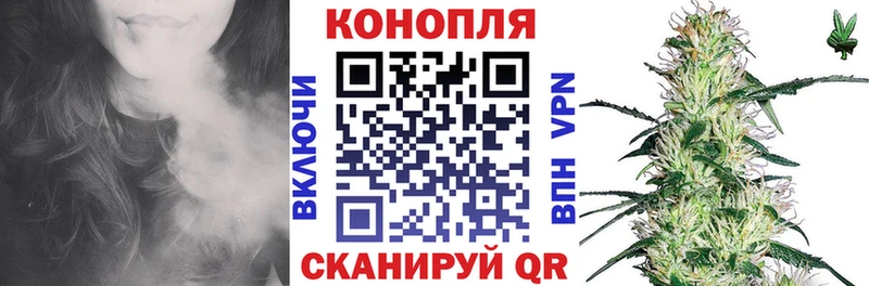 Конопля Ganja  Краснообск 